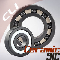 Thumb silicon carbide sic ceramice bearings cli web