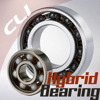 Thumb hybrid ceramics bearings cli web