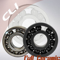 Thumb full complement ceramic bearings zro2 si3n4 sic web