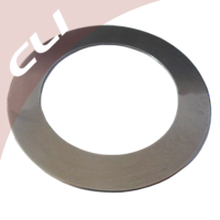 Thumb 1 picture cp series thin thrust washers metric size