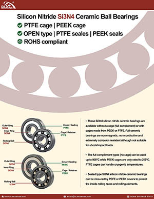 Original ceramic bearings si3n4 nw