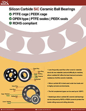 Original ceramic bearings sic nw