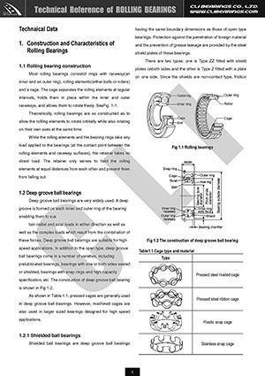 Original technical reference of rolling bearings nw
