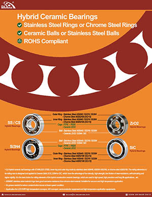 Original ceramic bearings hybrid bearings nw